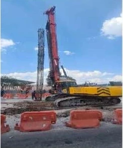 Distribuidor Vial Paseo 5 de Febrero · registro 14